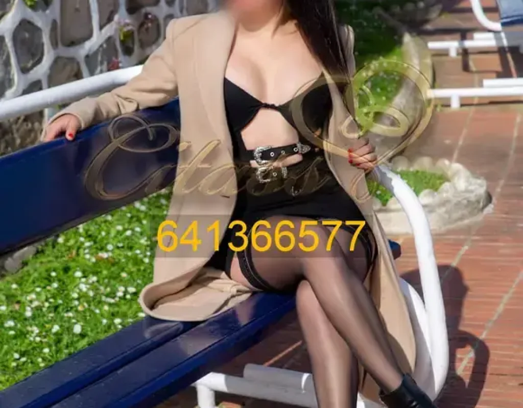 IMG-20241222-WA0008