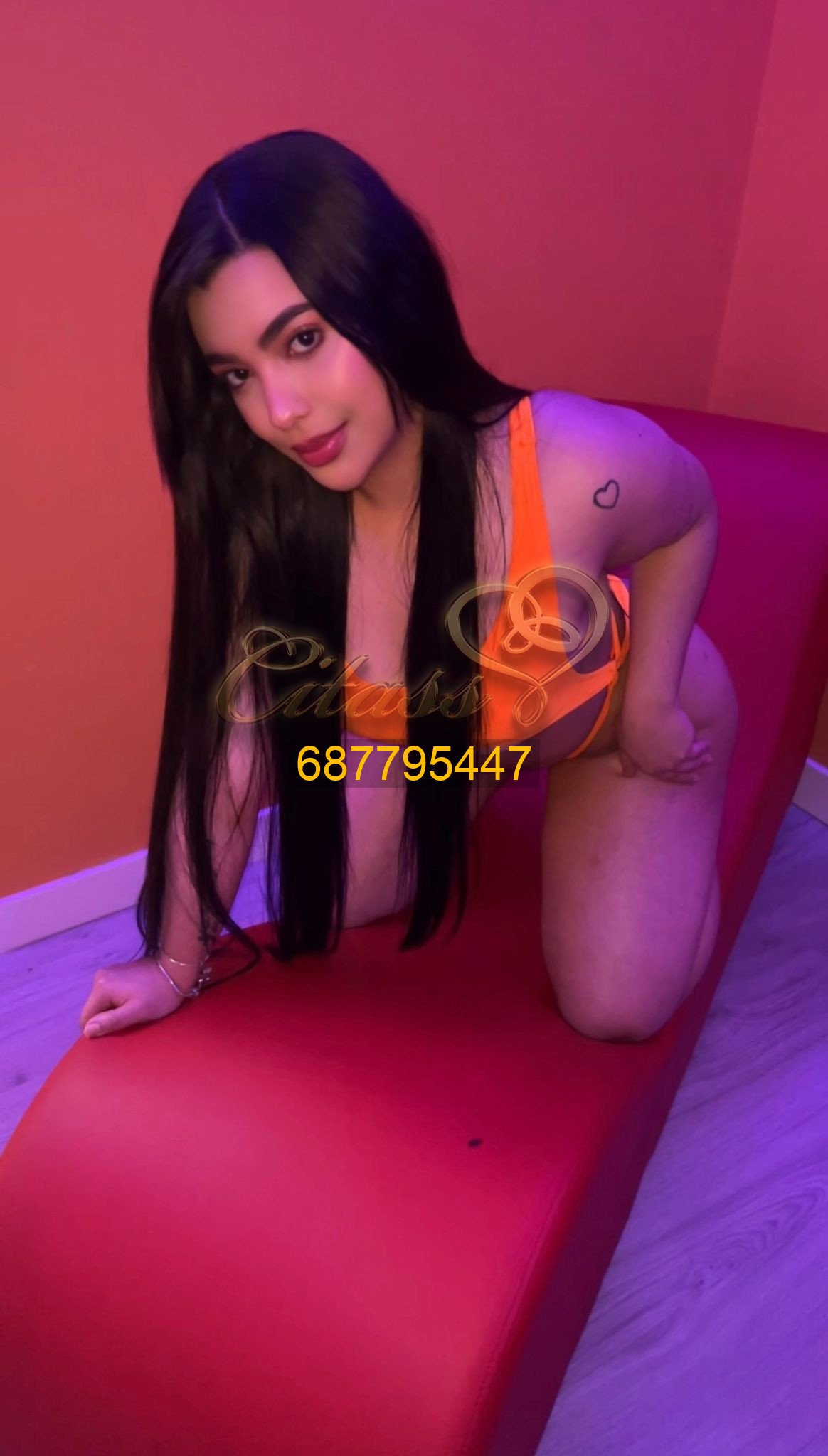 WhatsApp-Image-2025-12-15-at-22.56.14