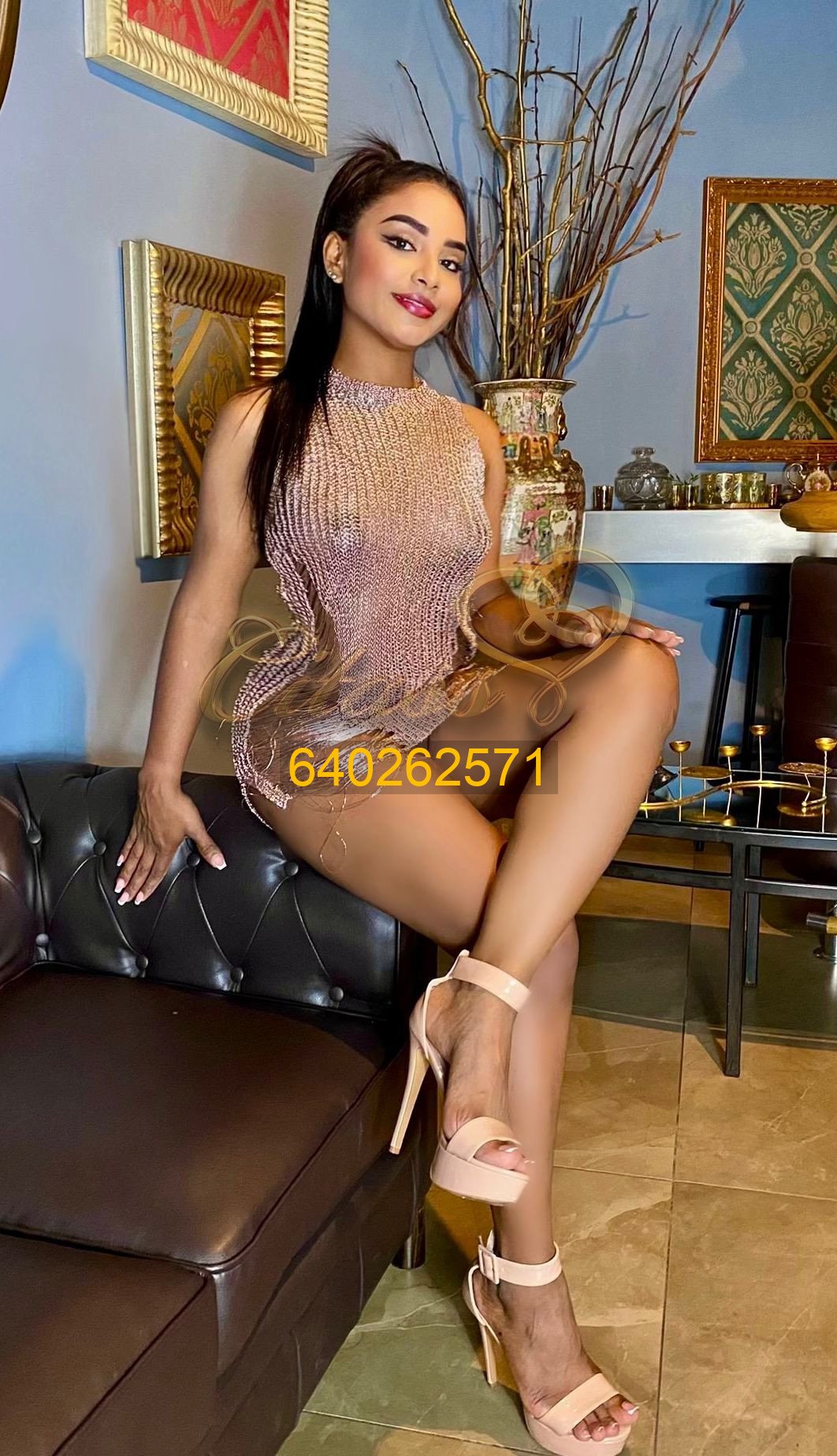 VIOLETA-4