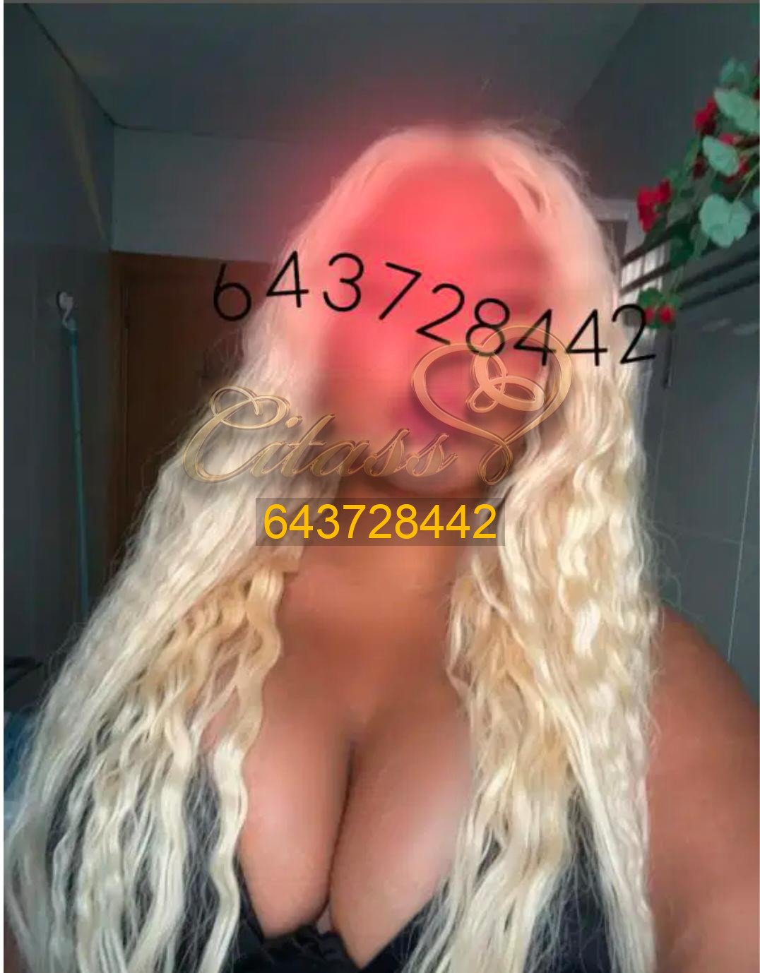 1000001505